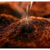 Tchibo Gold Selection Öğütülmüş Filtre Kahve 250gr